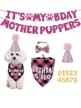 Birthday Girl Pink Dog Party Set - Pet Bandana, Bow Tie & Hat